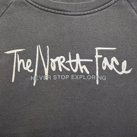The North Face Graphic Injection Crew Sweatshirt in Black & Metallic Silver - Picture 5 of 14